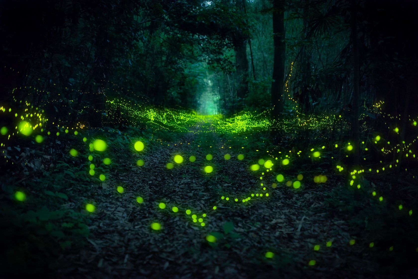 Foundation Friday Artists