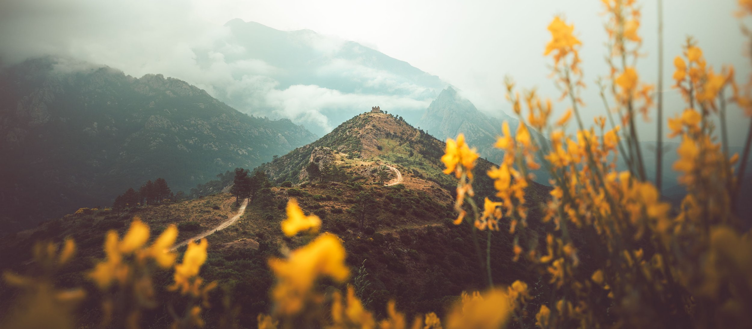 Crushing Life with Jubbish