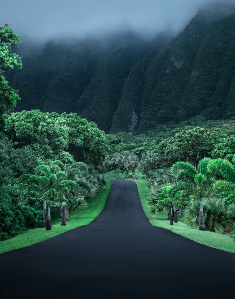 #FreeHawaii by Cath Simard, Line 11